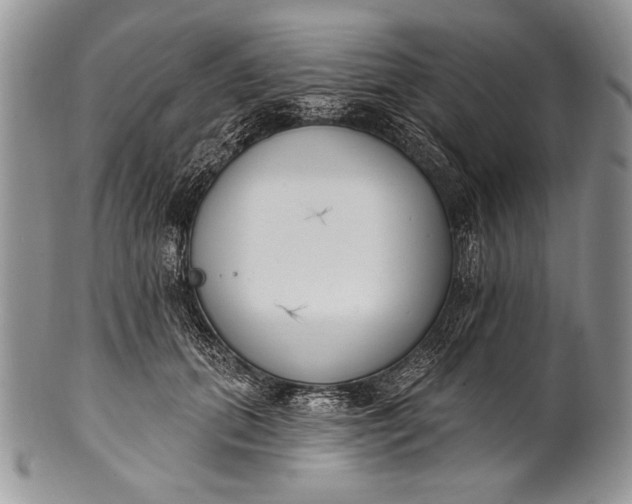 X0000100360655200806201606