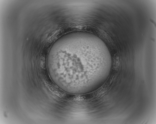 X0000100360656200806201606