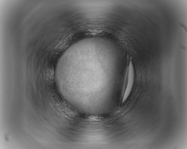 X0000100360657200806201606