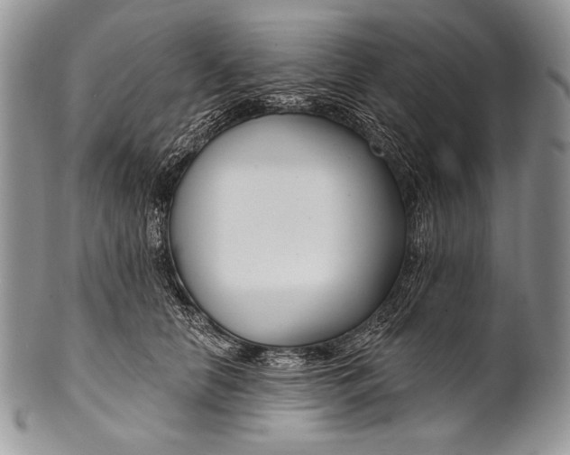 X0000100360658200806201606