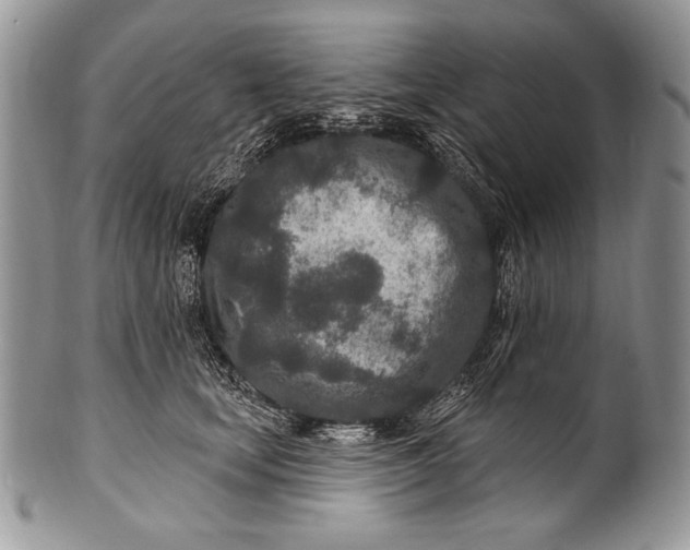 X0000100360659200806201606