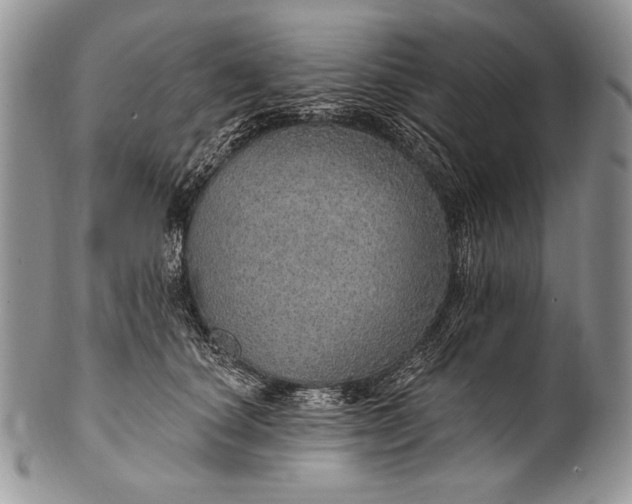 X0000100360660200806201606