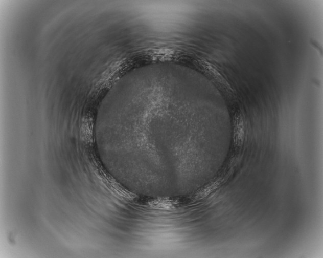 X0000100360661200806201606