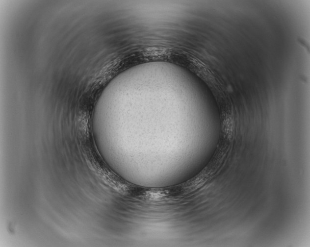 X0000100360662200806201606