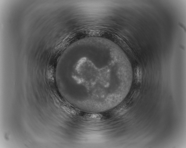 X0000100360663200806201606