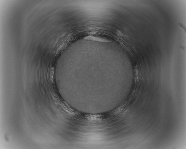 X0000100360664200806201606