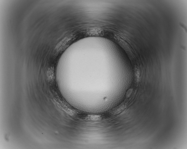 X0000100360665200806201606