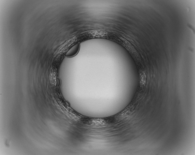 X0000100360666200806201606