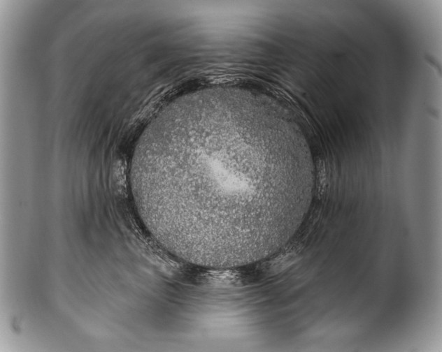 X0000100360667200806201606