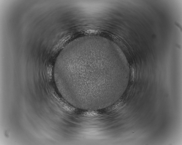 X0000100360668200806201606