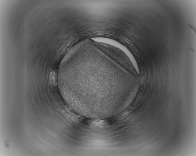 X0000100360669200806201606