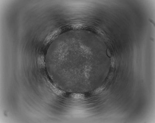 X0000100360670200806201606