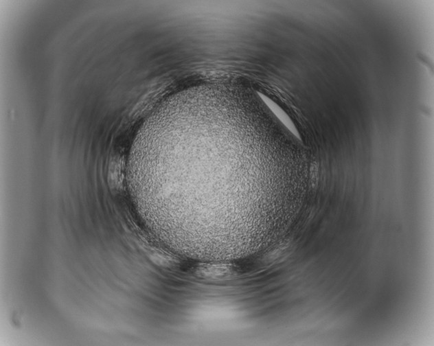 X0000100360671200806201606