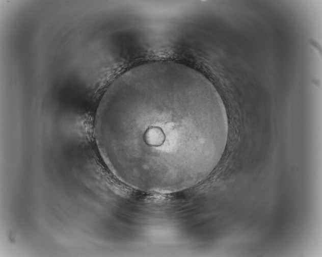 X0000100360672200806201606