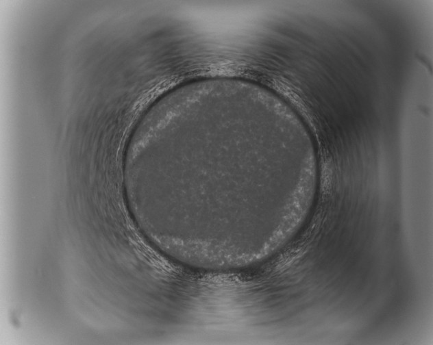 X0000100360673200806201605