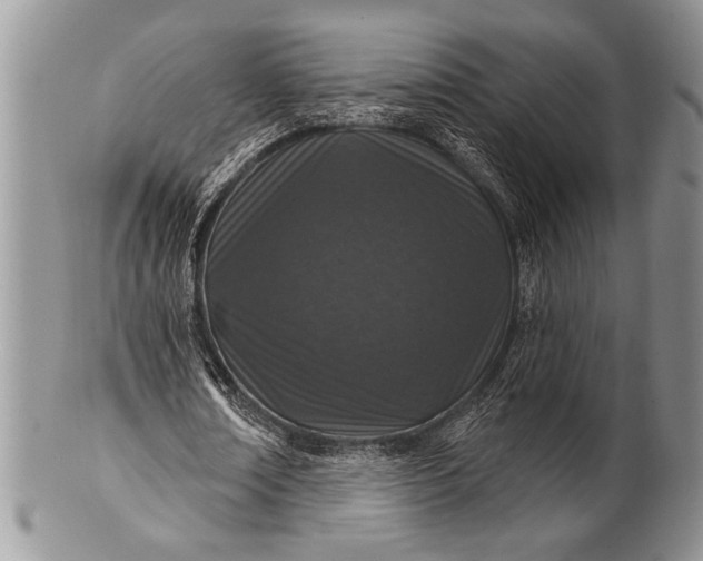 X0000100360674200806201605