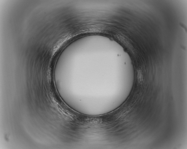 X0000100360676200806201605