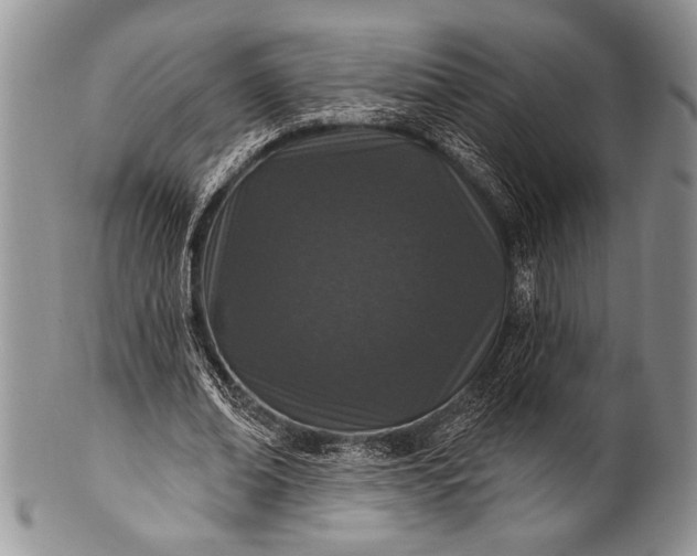 X0000100360678200806201605