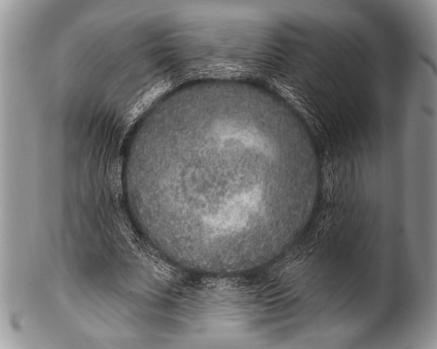 X0000100360679200806201605