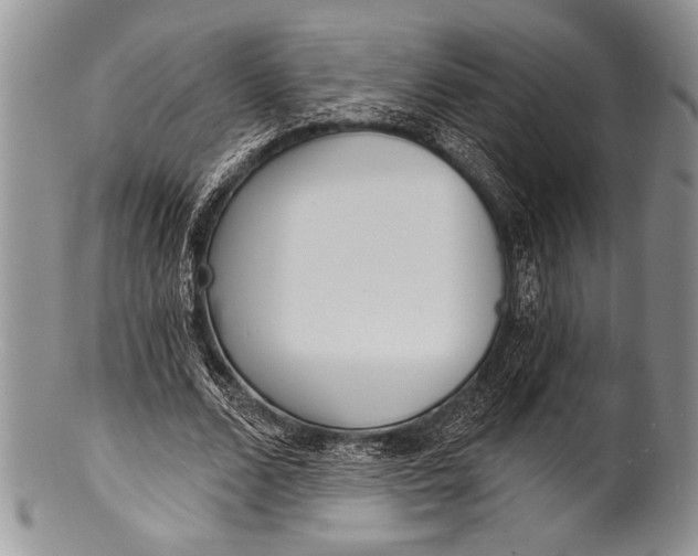 X0000100360680200806201605