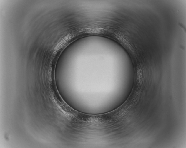 X0000100360682200806201605