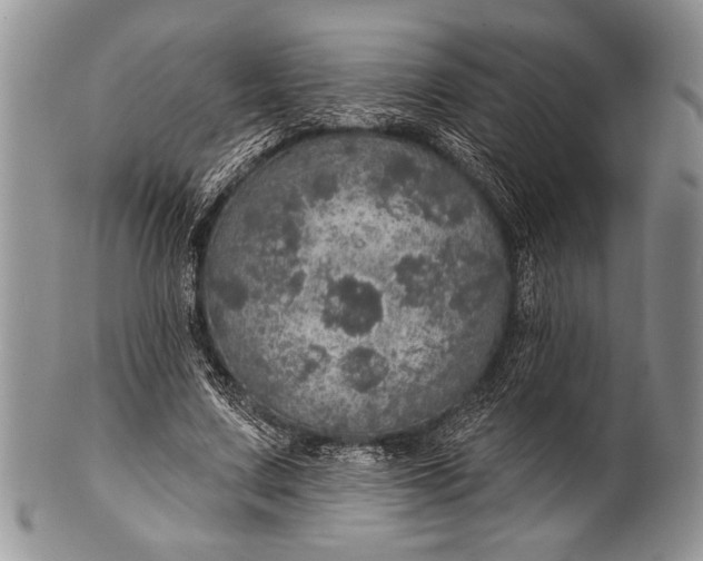 X0000100360683200806201605