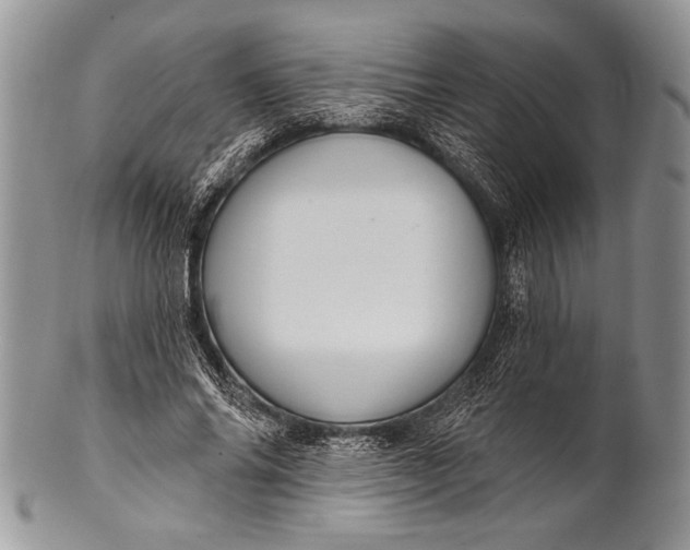 X0000100360686200806201605