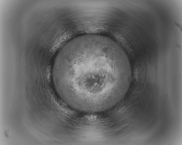 X0000100360687200806201605