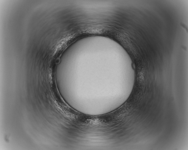 X0000100360688200806201605