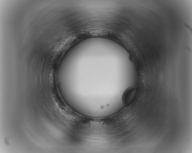 X0000100360690200806201605