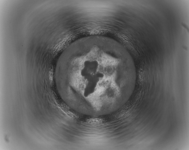 X0000100360691200806201605