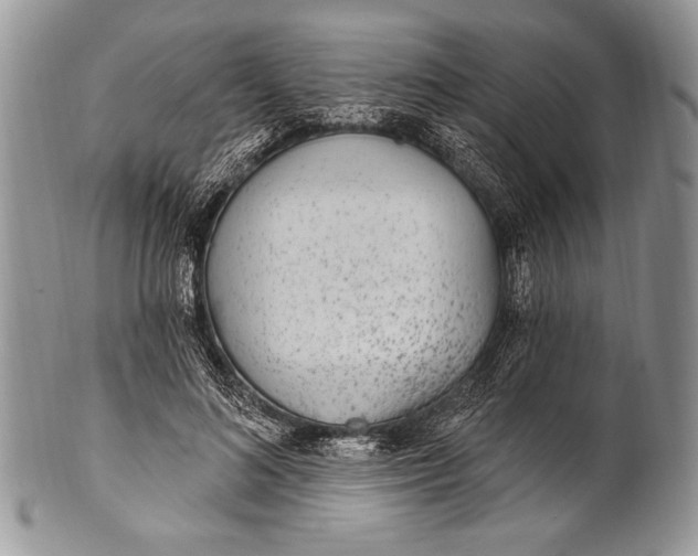 X0000100360692200806201605