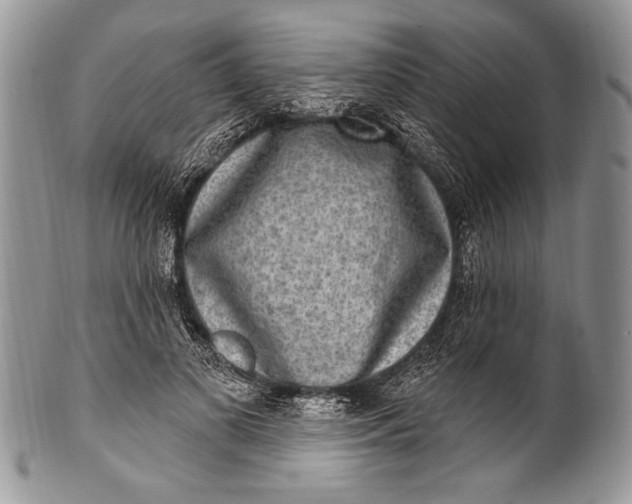 X0000100360693200806201605