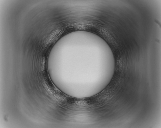 X0000100360694200806201605