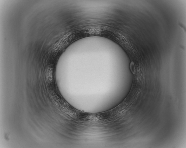 X0000100360697200806201605