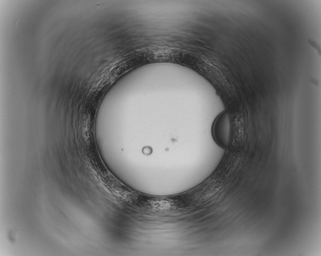 X0000100360698200806201605