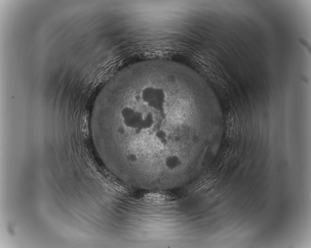 X0000100360699200806201605