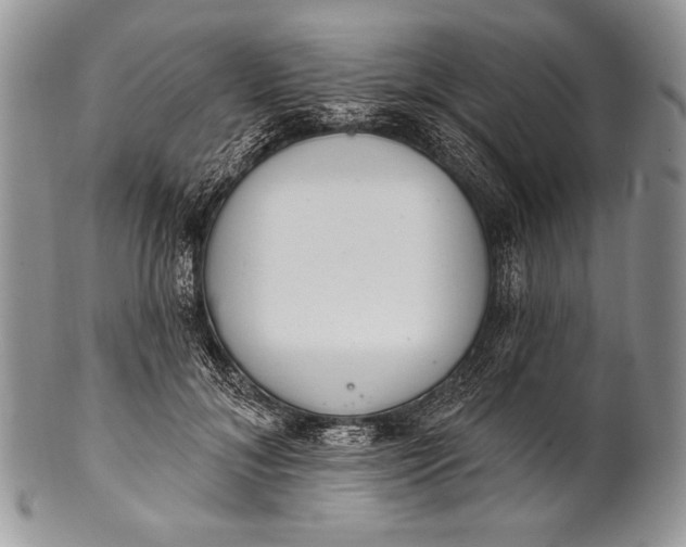 X0000100360700200806201605