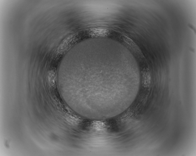 X0000100360701200806201605