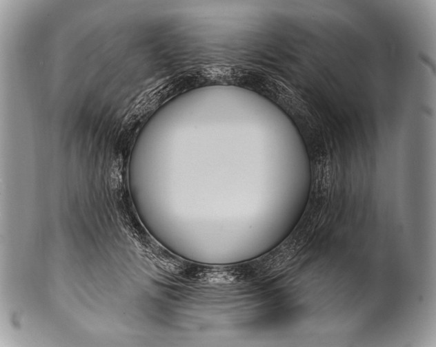 X0000100360702200806201605