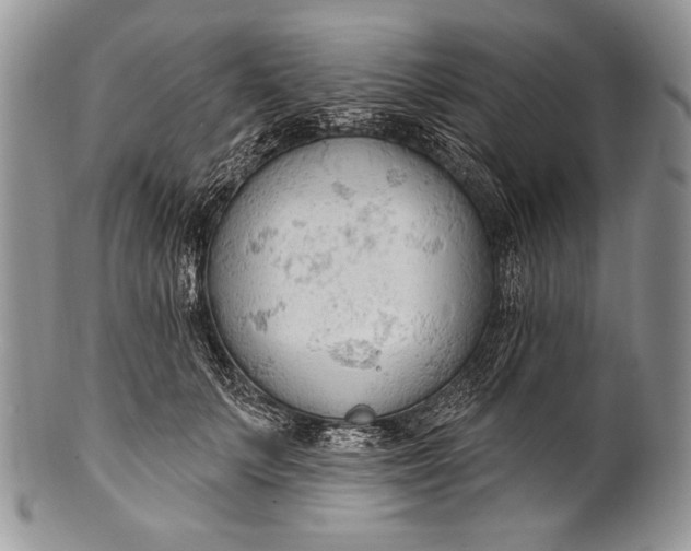 X0000100360703200806201605