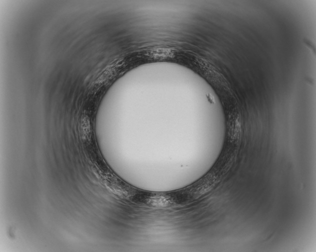 X0000100360704200806201605