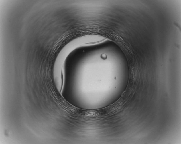 X0000100360705200806201605