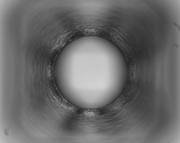 X0000100360706200806201605