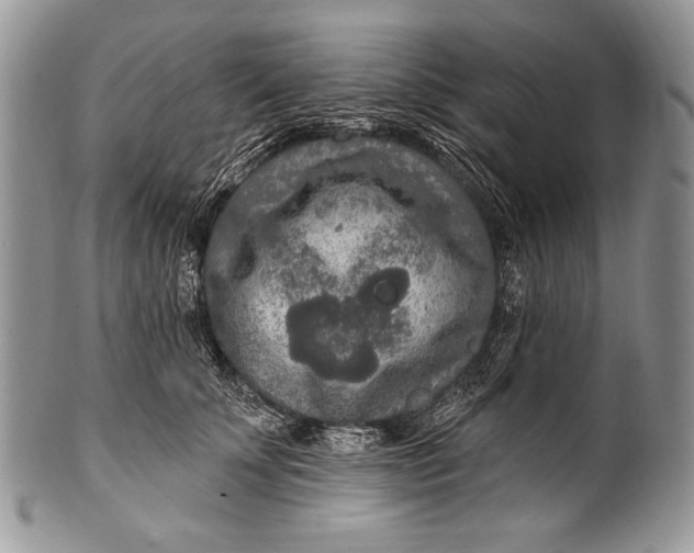 X0000100360707200806201605