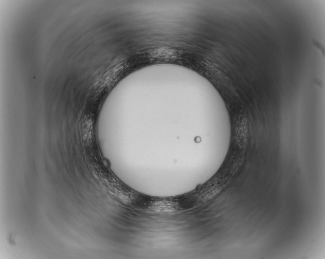 X0000100360708200806201605