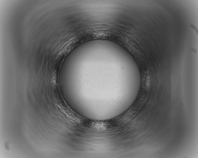 X0000100360710200806201605