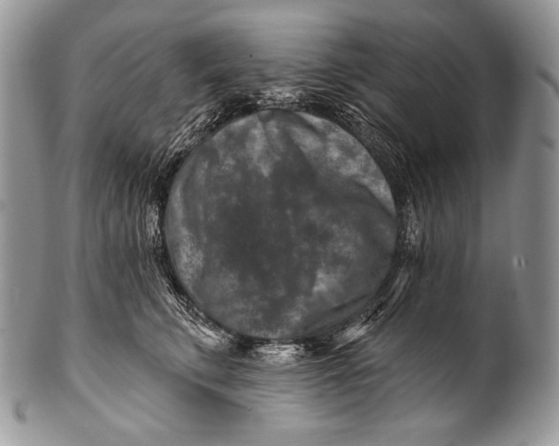 X0000100360711200806201605