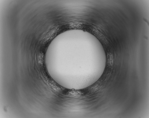 X0000100360712200806201605