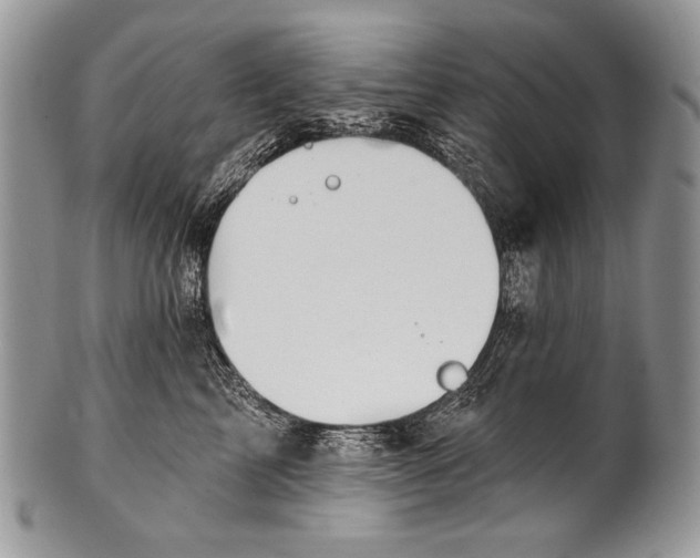 X0000100360713200806201605